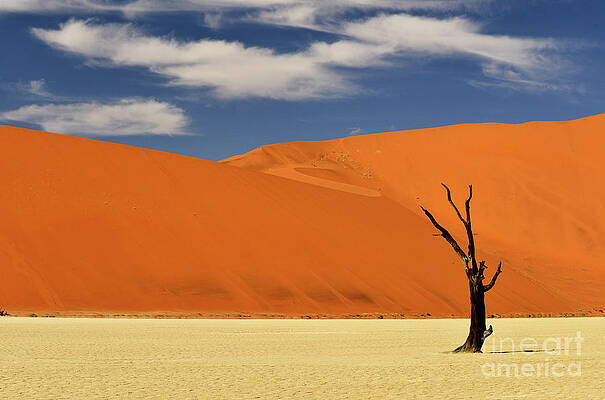 Namibian Desert Gold by Traveled Walls Namibian Desert Gold by Traveled Walls