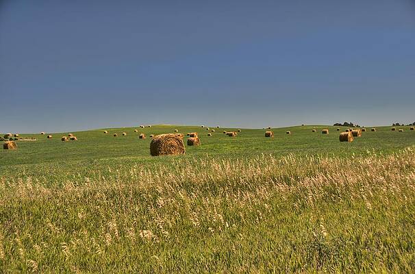 Nebraska Hay 02 by Jonathan Sabin Nebraska Hay 02 by Jonathan Sabin