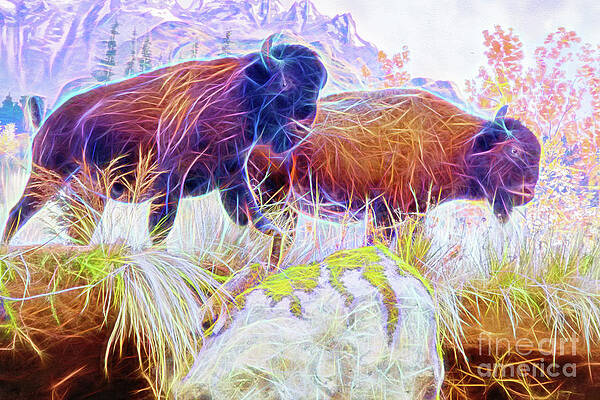 Neon Bison Pair by Ray Shiu Neon Bison Pair by Ray Shiu