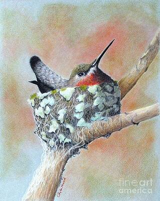 Nesting Anna by Phyllis Howard Nesting Anna by Phyllis Howard