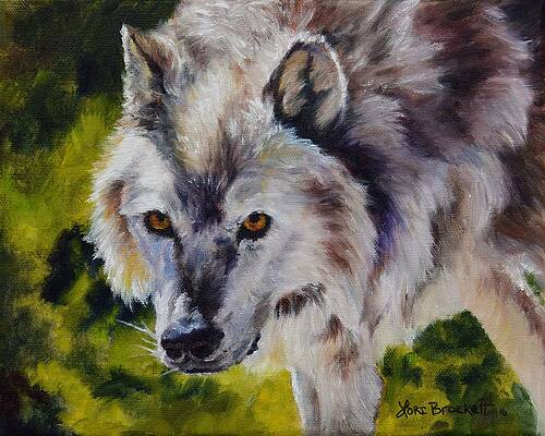 Lupus Paintings Page 2 Of 4 Fine Art America