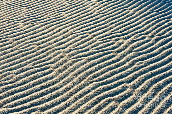 Wall Art - Photograph - New Mexico Sand Patterns by Bill Brennan - Printscapes