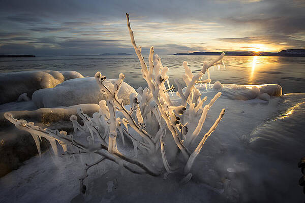 Wall Art - Photograph - New Year's Eve, Inspiration Bay by Jakub Sisak