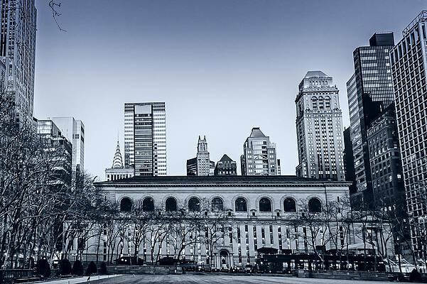 Wall Art - Photograph - New York Public Library by Alison Frank