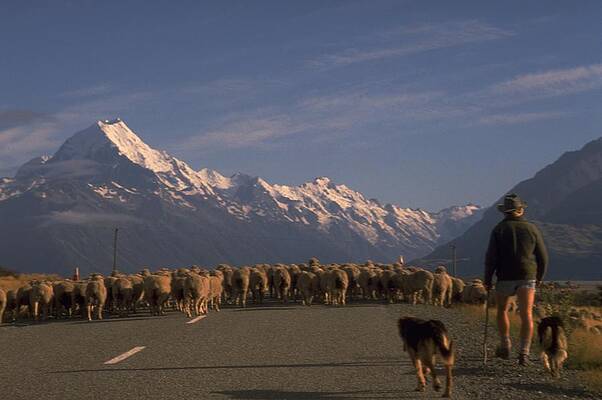 New Zealand Mt Cook by Travel Pics New Zealand Mt Cook by Travel Pics