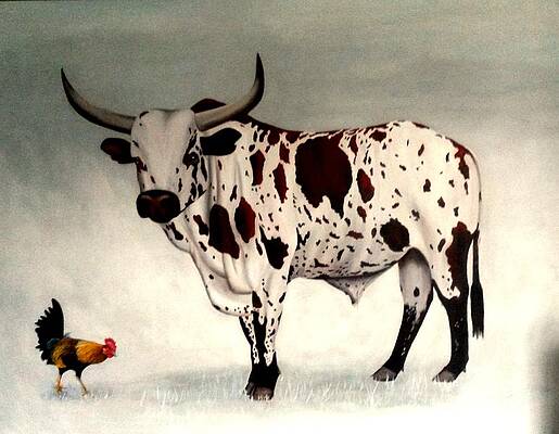Nguni And Chicken by Johan BEUKES