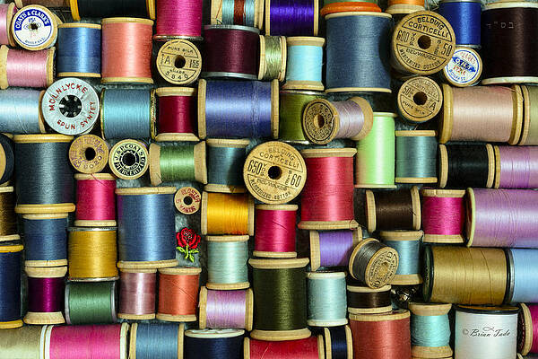Nice Threads by Brian Tada Nice Threads by Brian Tada