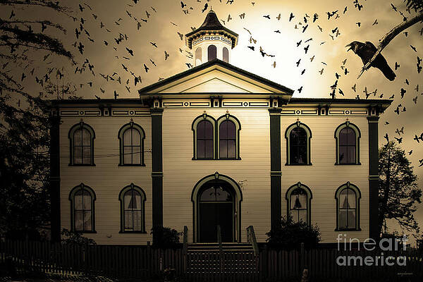 Wall Art - Photograph - Night of The Birds . Sepia . 7D12487 by Wingsdomain Art and Photography
