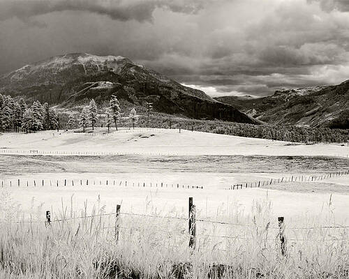 not quite by Mike McMurray not quite by Mike McMurray