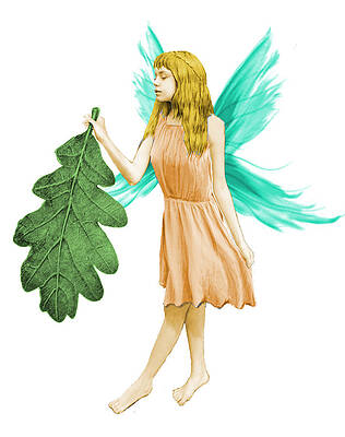 Oak Tree Fairy with Oak Leaf by Yuichi Tanabe Oak Tree Fairy with Oak Leaf by Yuichi Tanabe