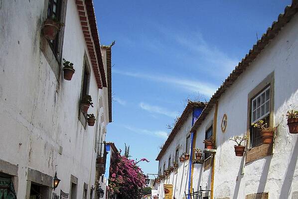 Wall Art - Photograph - Obidos Street Portugal by John Shiron