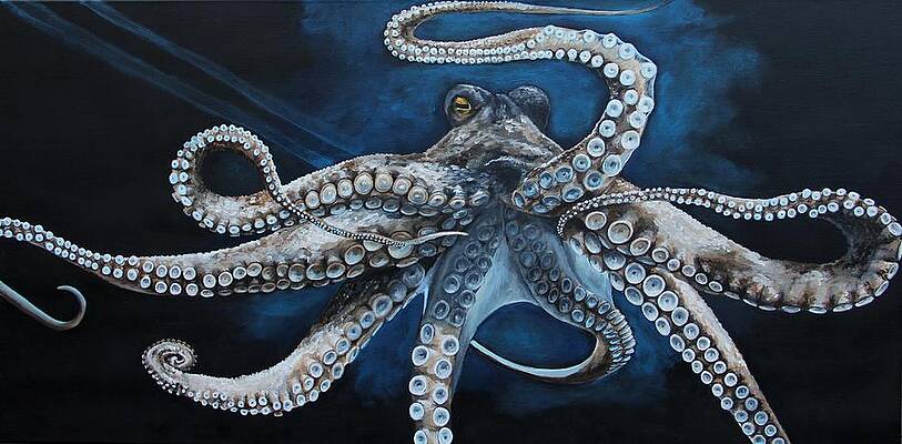 Octopus Wall Art | Fine Art America