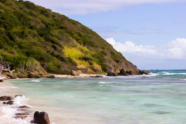 Wall Art - Photograph - Off the Coast by Roberta Byram