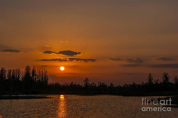 Okefenokee Sunset by Southern Photo Okefenokee Sunset by Southern Photo