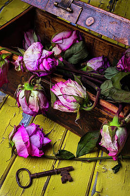 Dried Roses by Davealan