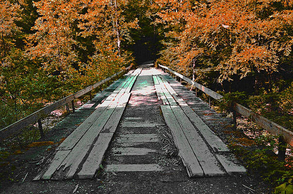 Wall Art - Photograph - Old Forest Bridge Autumn by Stacie Siemsen