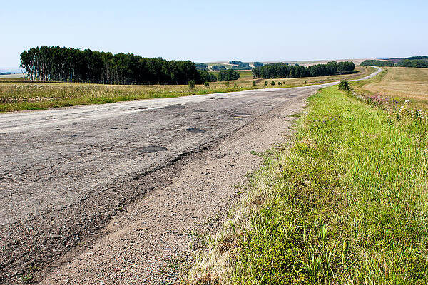 Old road in a field on a summer day. by Mikhail Piizzoff