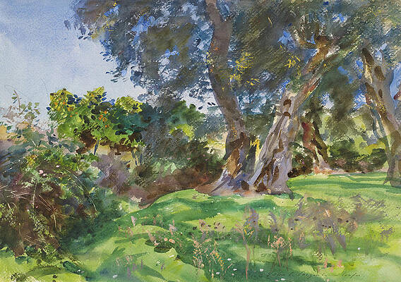 Greek Olives Paintings Fine Art America