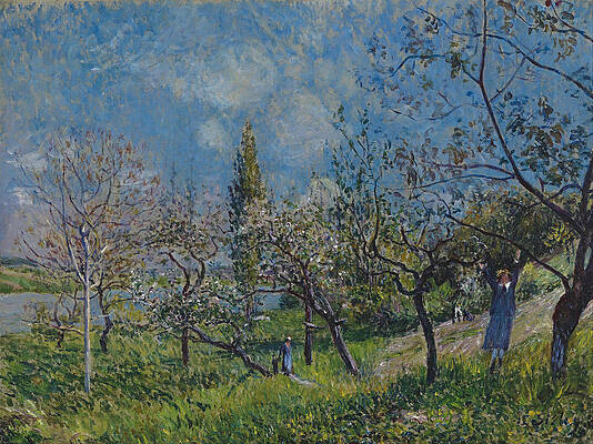 Orchard in Spring. By Print by Alfred Sisley