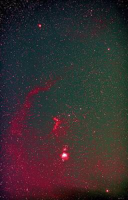 Orion with Bernard's Loop by John Aldabe
