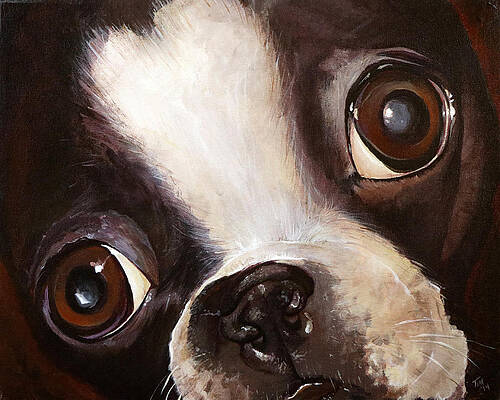 Black And White Dog Paintings Page 14 Of 16 Fine Art America