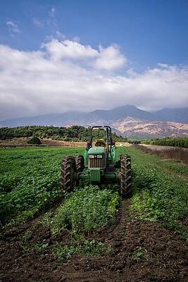 Wall Art - Photograph - Out Standing in His Field by Lynn Bauer