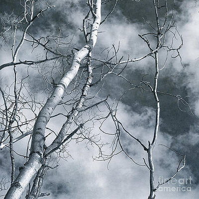 Wall Art - Photograph - Land Shapes 36 by Priska Wettstein