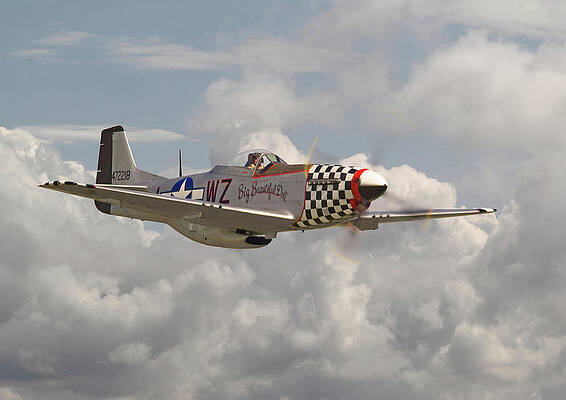 P51 Mustang - WW2 Classic Icon by Pat Speirs P51 Mustang - WW2 Classic Icon by Pat Speirs