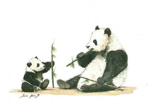 Panda Bears Mens NeckTie Panda Bear Eating Bamboo Leaves Mens Neck Tie 