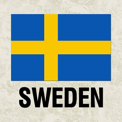 Sweden Flag Canvas Art Print #003937