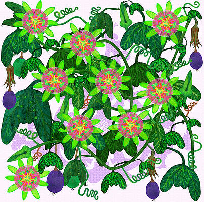Passiflora mexicana by JOAN CARONIL