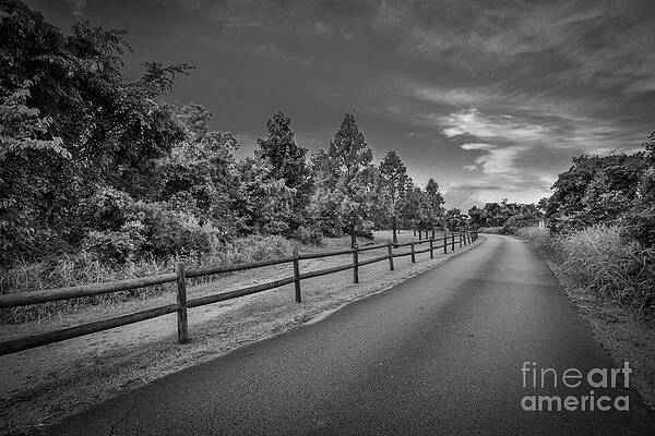Path - Black and White by Mina Isaac Path - Black and White by Mina Isaac