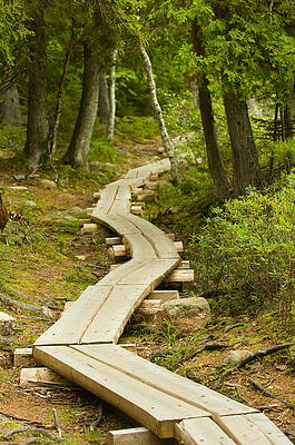 Wall Art - Photograph - Path Into Unknown by Sebastian Musial