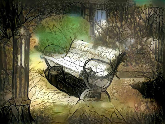  Photograph - Peaceful Easy Feeling  by Snook R