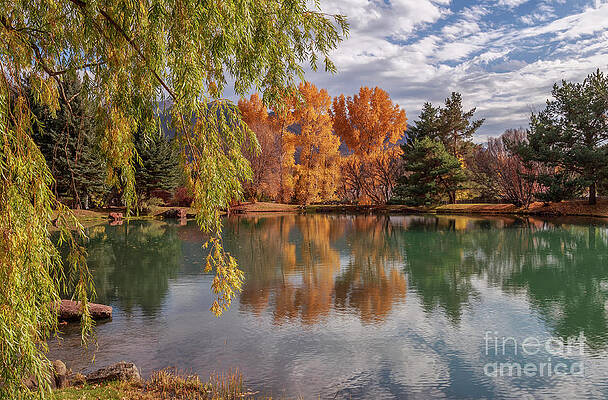 Peaceful Pond by Jaime Miller Peaceful Pond by Jaime Miller
