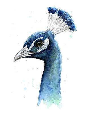 Peacock Feather Paintings Fine Art America