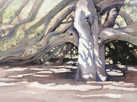 Wall Art - Painting - Pechanga Great Oak by Bonnie Rinier