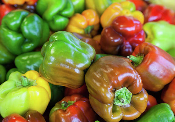 Peppers by Shirley Radabaugh Peppers by Shirley Radabaugh