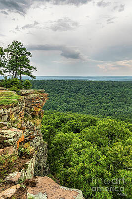 Petit Jean CCC Overlook by Jennifer White Petit Jean CCC Overlook by Jennifer White