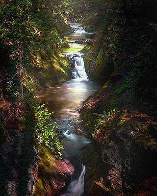 Wall Art - Photograph - Pewitts Nest by Scott Norris