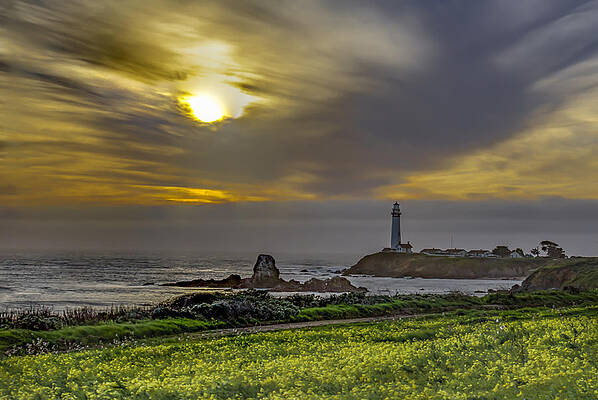 Pigeon Point Lighthouse by Bruce Bottomley Pigeon Point Lighthouse by Bruce Bottomley
