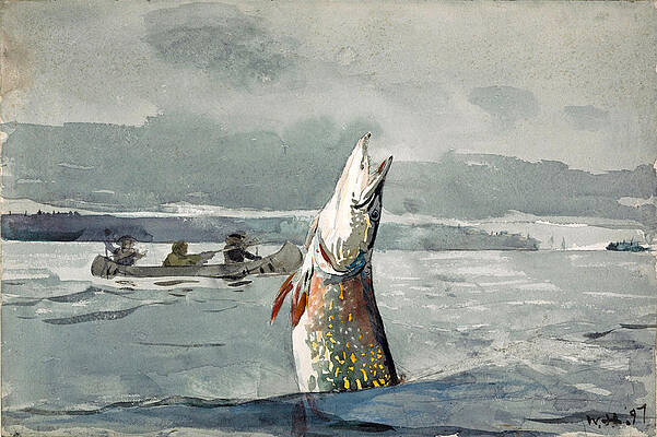 Pike. Lake St. John Print by Winslow Homer