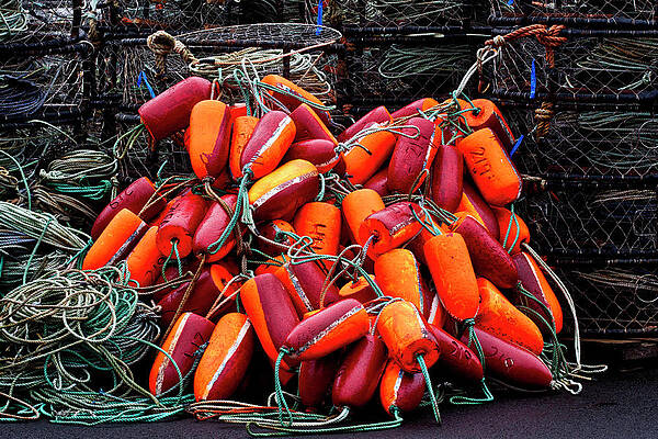 Crab Pot Buoy Detail Photograph by Carol Leigh - Fine Art America