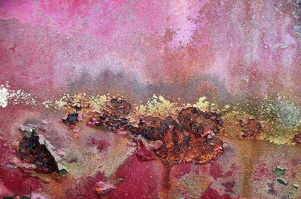 Wall Art - Photograph - Pink and Gold Absract by Ann Bridges