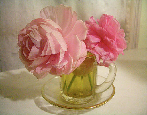 Pink Beauties by Kathryn Donatelli Pink Beauties by Kathryn Donatelli
