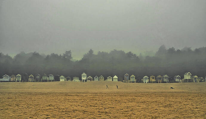 Playing on the Foggy Beach by Nick Bywater Playing on the Foggy Beach by Nick Bywater