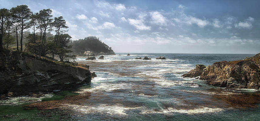 Wall Art - Photograph - Point Lobos by Art Cole