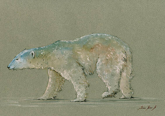 Wall Art - Painting - Polar bear original watercolor painting art by Juan  Bosco
