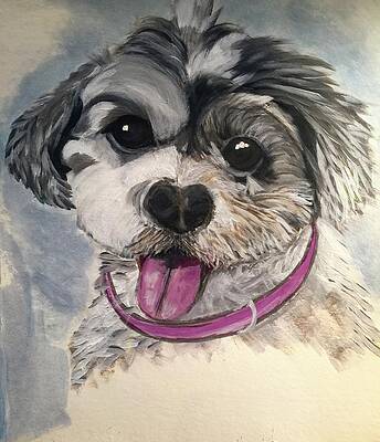 Pooch by Gigi Desmond Pooch by Gigi Desmond