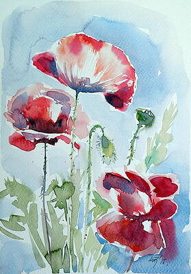 Poppy Paintings (Page #12 of 35) | Fine Art America